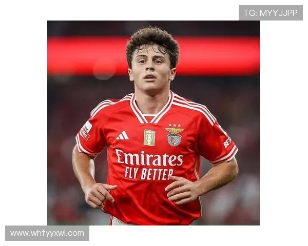 葡萄牙国家队宣布若昂内维斯受伤塔瓦雷斯紧急入选替补阵容